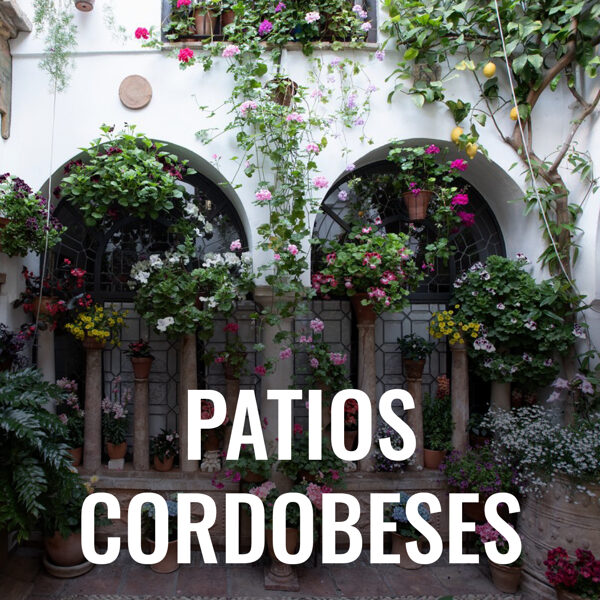 4 Mayo - Patios de Córdoba 